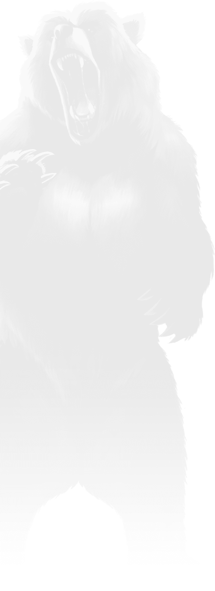 BetSoft Book of Darkness Screenshot