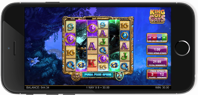 King of Cats Screenshot