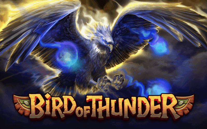 Bird Of Thunder Screenshot