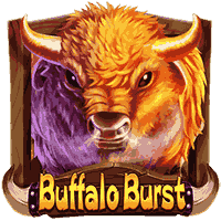 Buffalo Burst